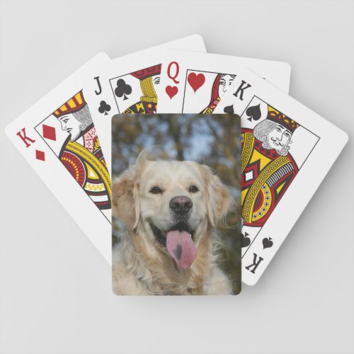 Golden Retriever Headshot 3 Playing Cards
