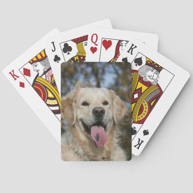Golden Retriever Headshot 3 Poker Cards (Back)
