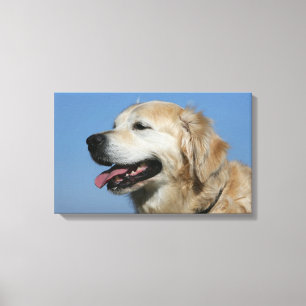 Golden Retriever Headshot 4 Canvas Print