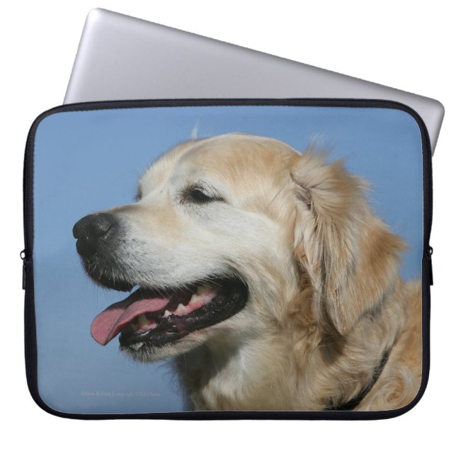 Golden Retriever Headshot 4 Laptop Sleeve (Front)