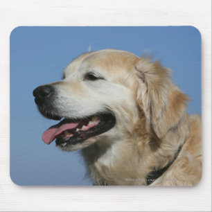 Golden Retriever Headshot 4 Mouse Pad
