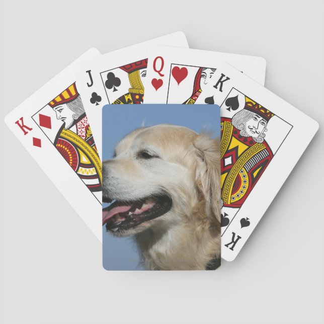 Golden Retriever Headshot 4 Poker Cards (Back)
