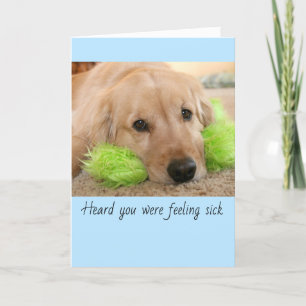 Golden Retriever Heard You Were Sick Get Well Card