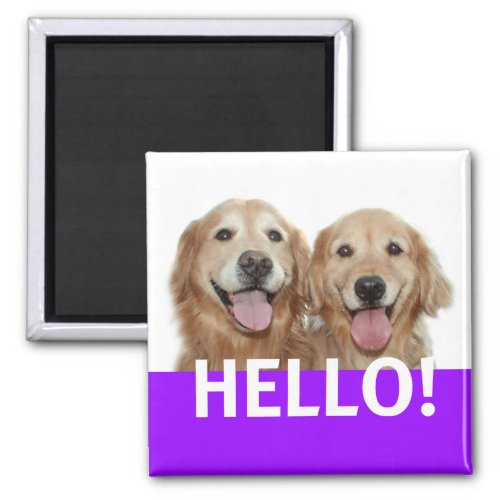 Golden Retriever Hello Magnet