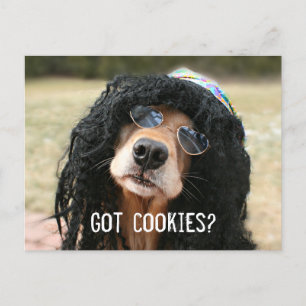 Golden Retriever Hippie "Got Cookies?" Postcard