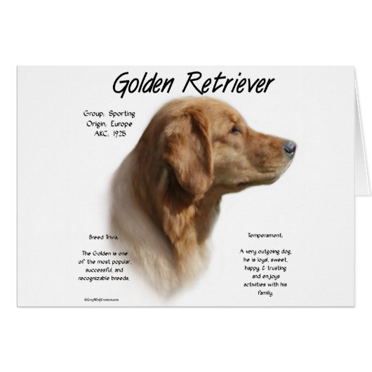 Golden Retriever History Design (Front Horizontal)