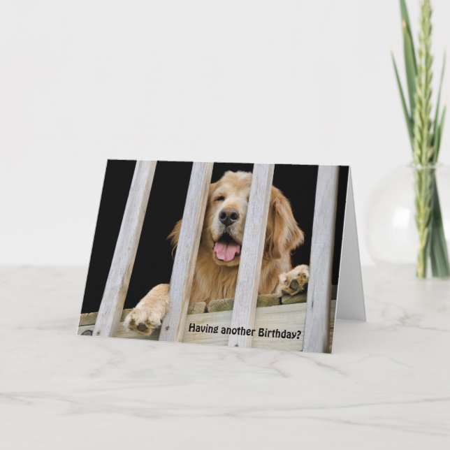 Golden Retriever Humorous Birthday Card (Front)