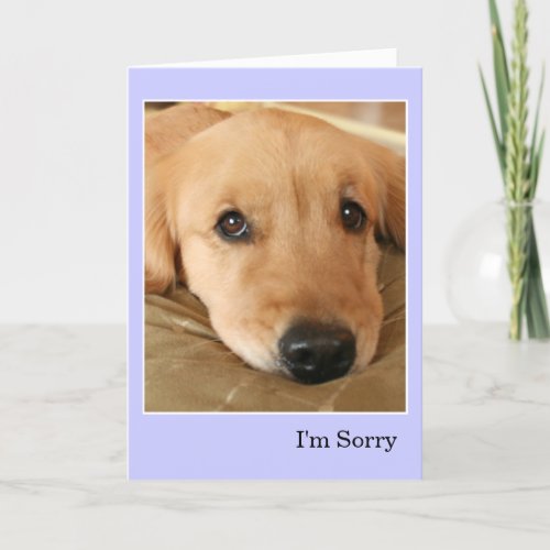 Golden Retriever Im Sorry Apology Card