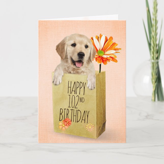 Golden Retriever in 102nd Birthday Bag  Card (Front)
