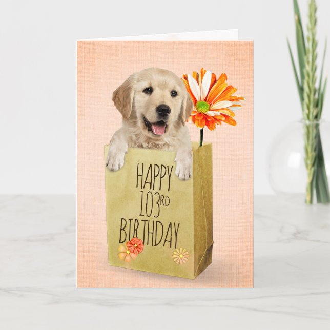 Golden Retriever in 103rd Birthday Bag  Card (Front)