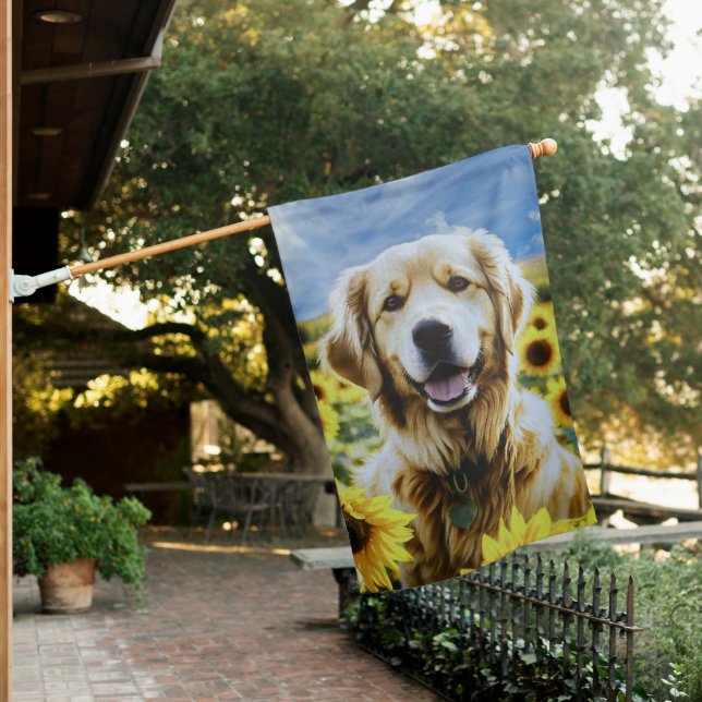 Golden Retriever in a Sunflower Field House Flag (In SItu)