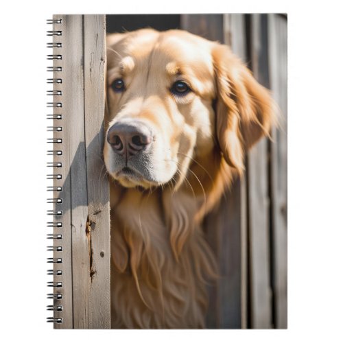 Golden Retriever In Barn Door Notebook