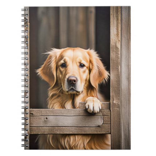 Golden Retriever In Barn Window Notebook