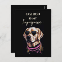 Golden retriever in black glasses in gold chains