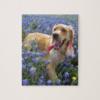 Golden Retriever In Blue Bonnets Jigsaw Puzzle by iroccamaro9 at Zazzle