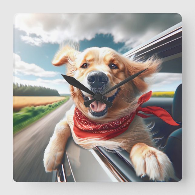 Golden Retriever In Car Window Square Wall Clock (Front)