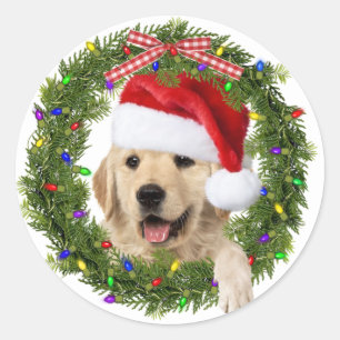 Golden Retriever In Christmas Wreath Classic Round Sticker