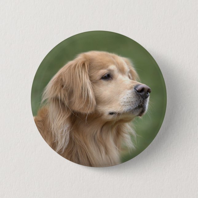 Golden Retriever in Closeup Button (Front)