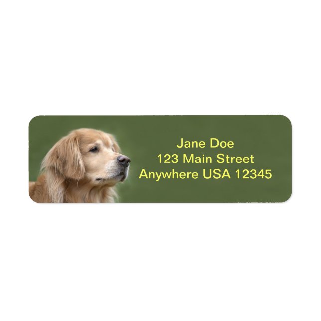Golden Retriever in Closeup Label (Front)