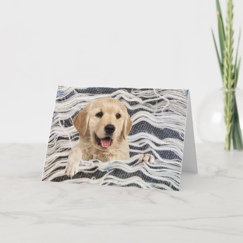 Golden Retriever In Frayed Denim Card