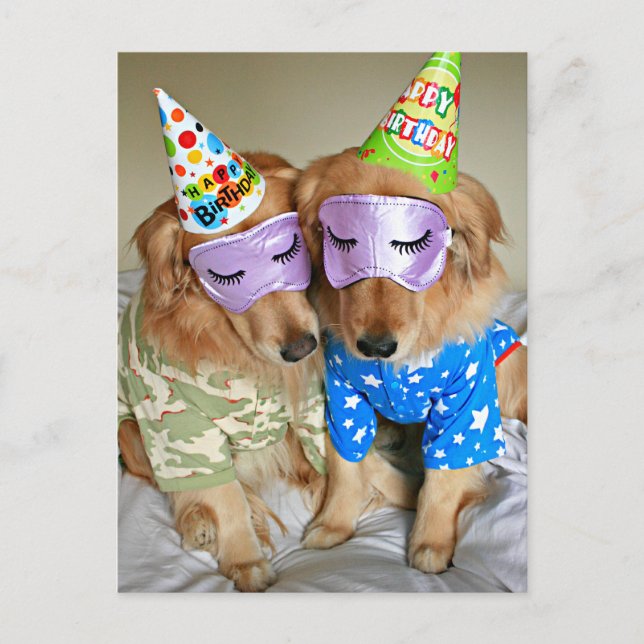 Golden Retriever in Pajamas Birthday Postcard (Front)