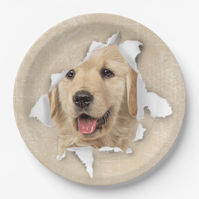Golden Retriever in Paper Hole Plates (Front)