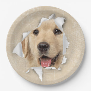Golden Retriever in Paper Hole Plates