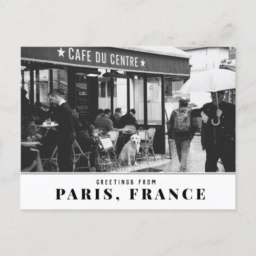 Golden Retriever in Paris  Postcard