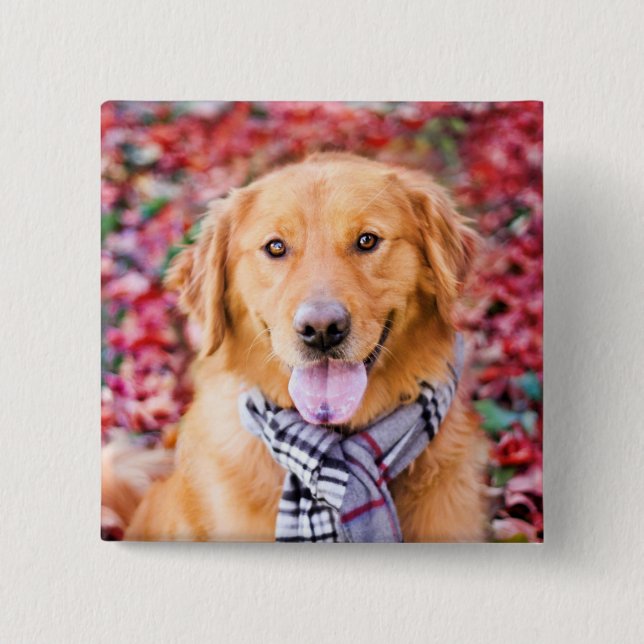 Golden Retriever In Scarf Button (Front)