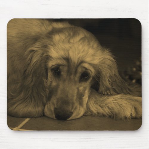 Golden Retriever in Sepia Tones Mouse Pad