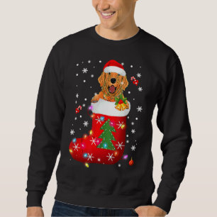 Golden Retriever In Sock Christmas Sweatshirt