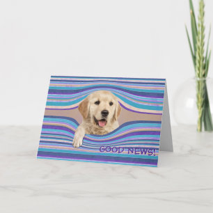 Golden Retriever In Stripes Birthday Humor Card