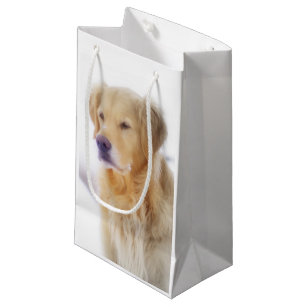 Golden Retriever in the Snow Small Gift Bag