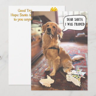 Golden Retriever in Trouble with Santa Christmas