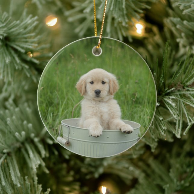 Golden Retriever In Wash Basin Ceramic Ornament (Tree)