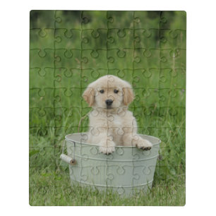 Golden Retriever In Wash Basin Jigsaw Puzzle