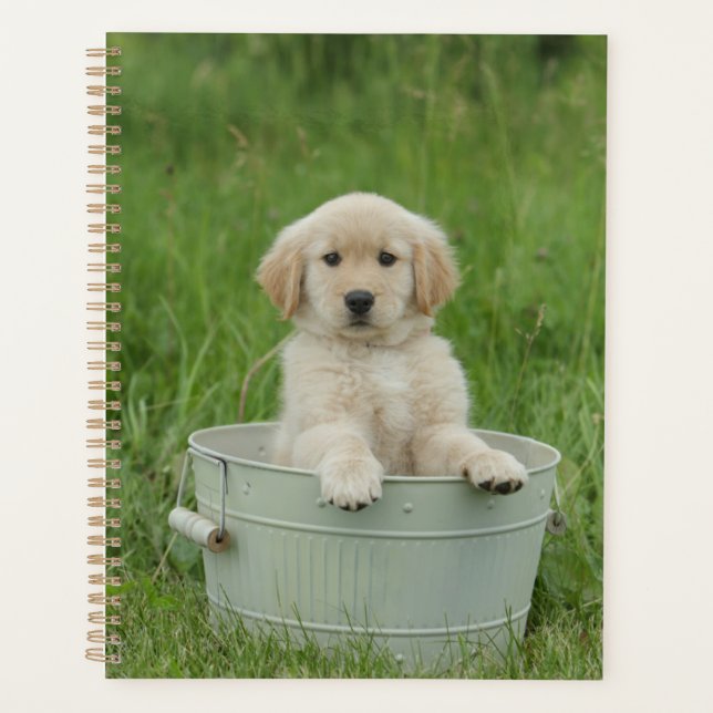 Golden Retriever In Wash Basin Planner (Front)