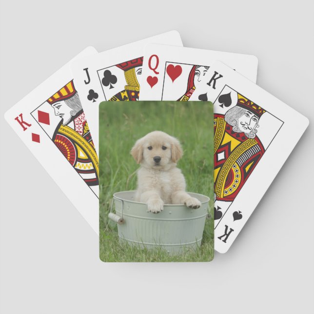 Golden Retriever In Wash Basin Poker Cards (Back)