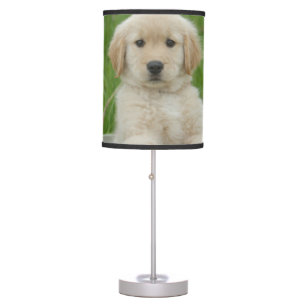 Golden Retriever In Wash Basin Table Lamp
