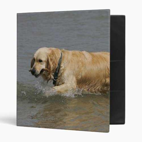 Golden Retriever in Water Binder