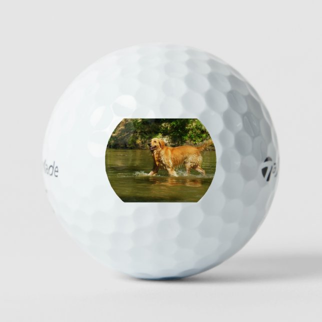 golden-retriever-in water golf balls (Front)