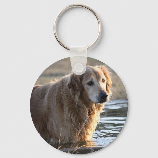 Golden Retriever in Water Keychain (Front)