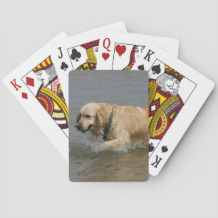 Golden Retriever in Water Poker Cards