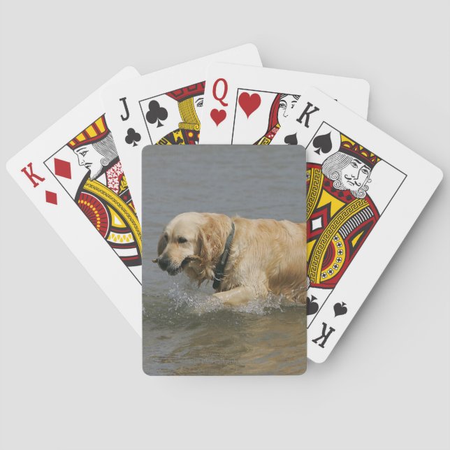 Golden Retriever in Water Poker Cards (Back)
