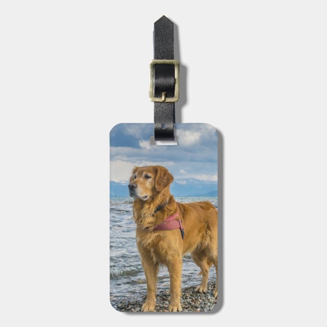 Golden Retriever Insert Your Own Photo Luggage Tag (Front Vertical)
