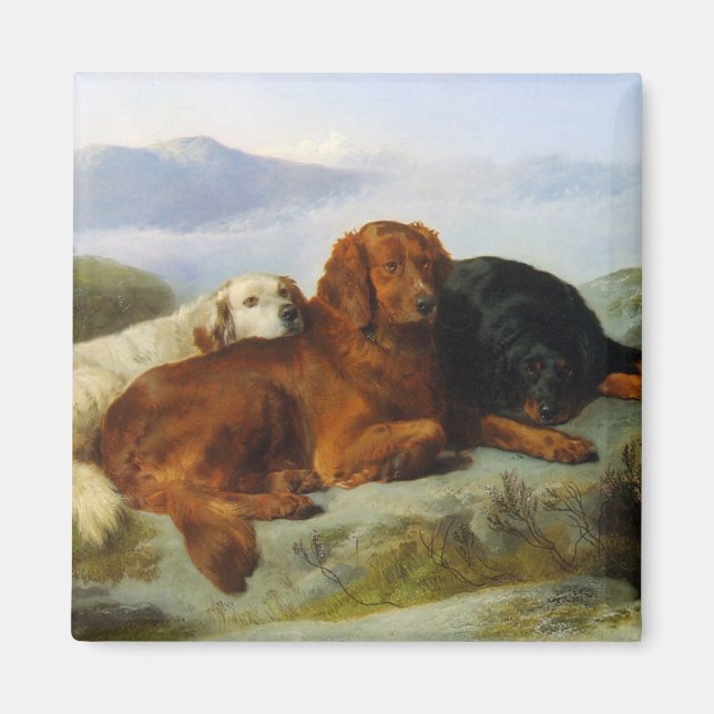 golden retriever, irish and gordon setter magnet (Front)