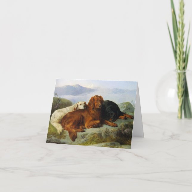 Golden Retriever, Irish and Gordon Setter Notecard (Front)