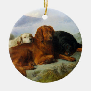 Golden Retriever, Irish and Gordon Setter Ornament