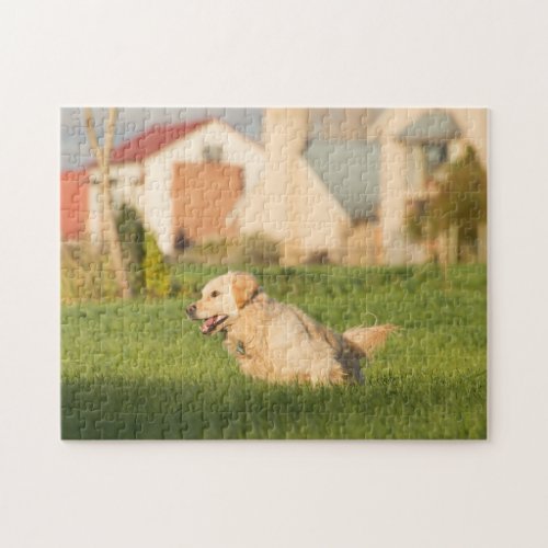 Golden Retriever Jig Saw Puzzle