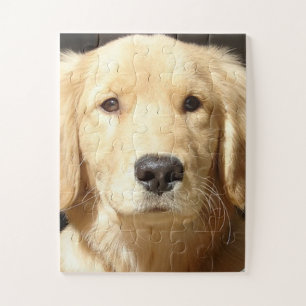 Golden Retriever Jigsaw Puzzle